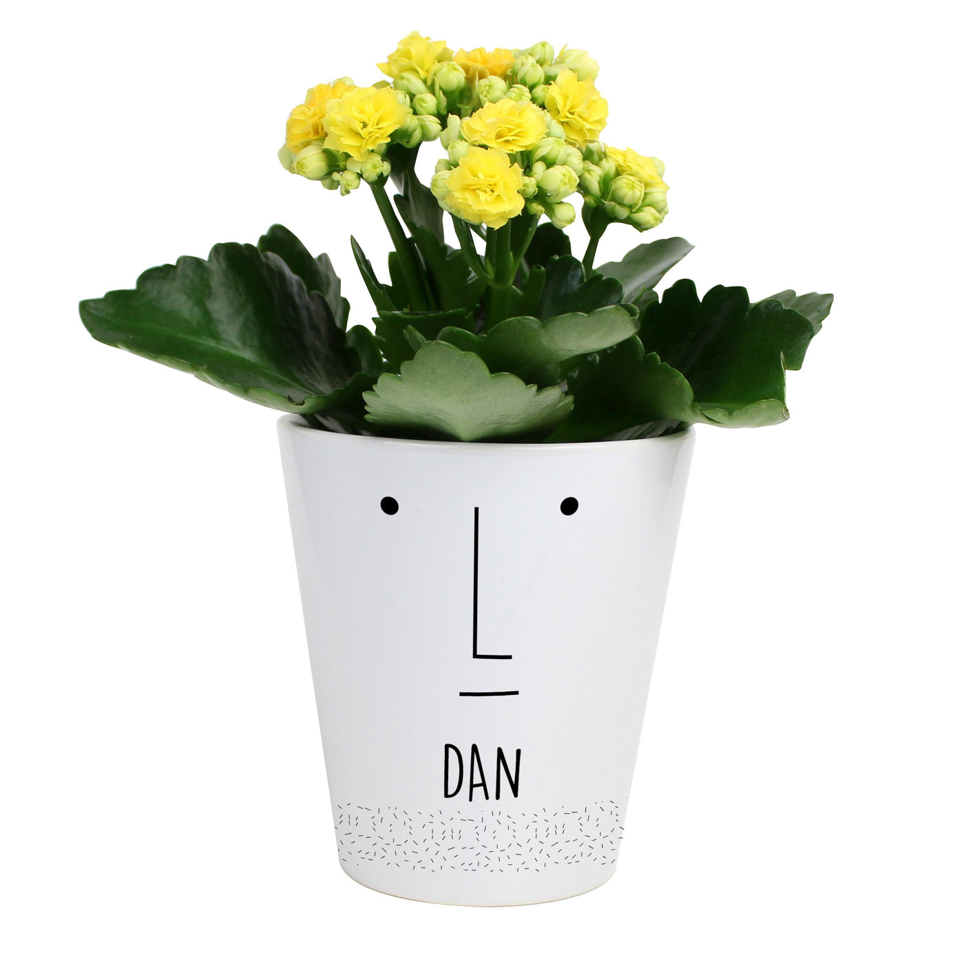 Personalised 'Mr Face' Ceramic Plant Pot - Shop Personalised Gifts