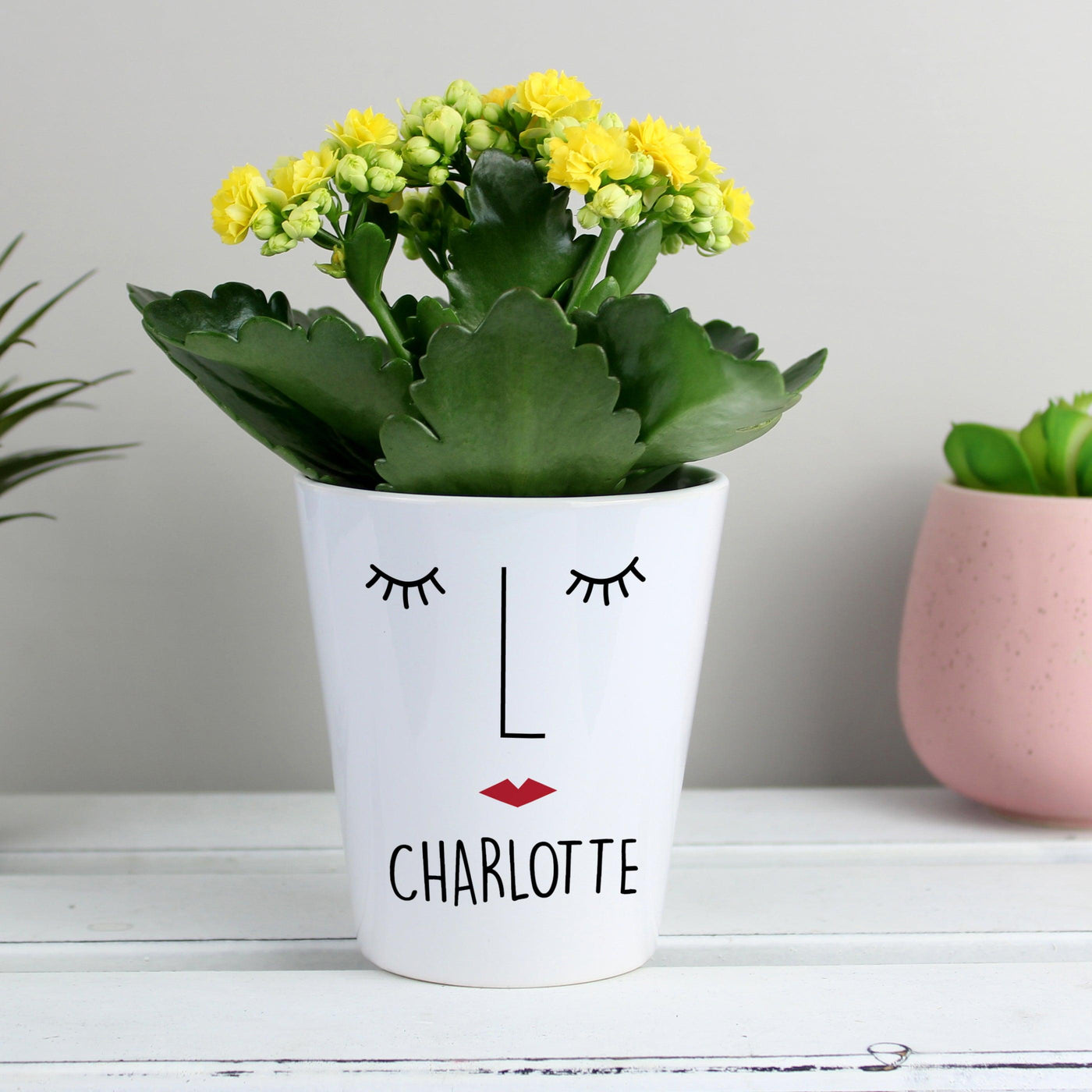 Personalised 'Mrs Face' Ceramic Plant Pot - Shop Personalised Gifts