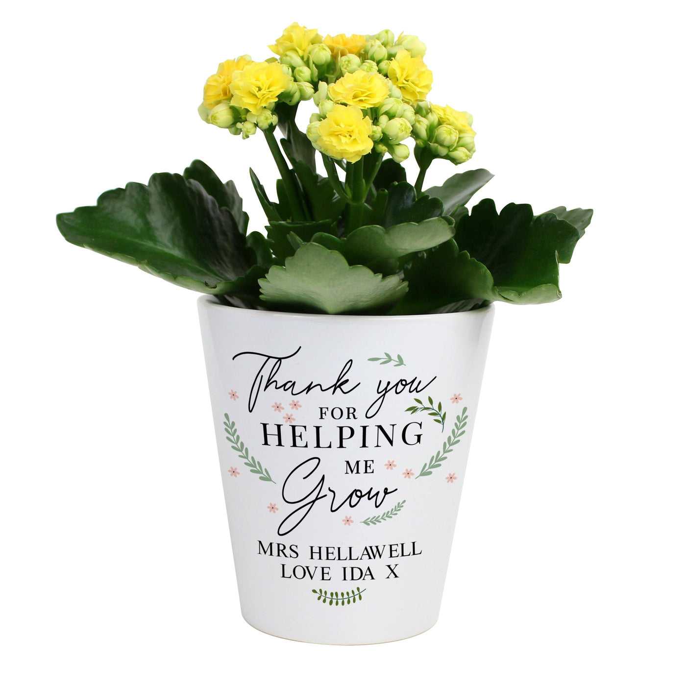 Personalised Thank You For Helping Me Grow Ceramic Plant Pot - Shop Personalised Gifts