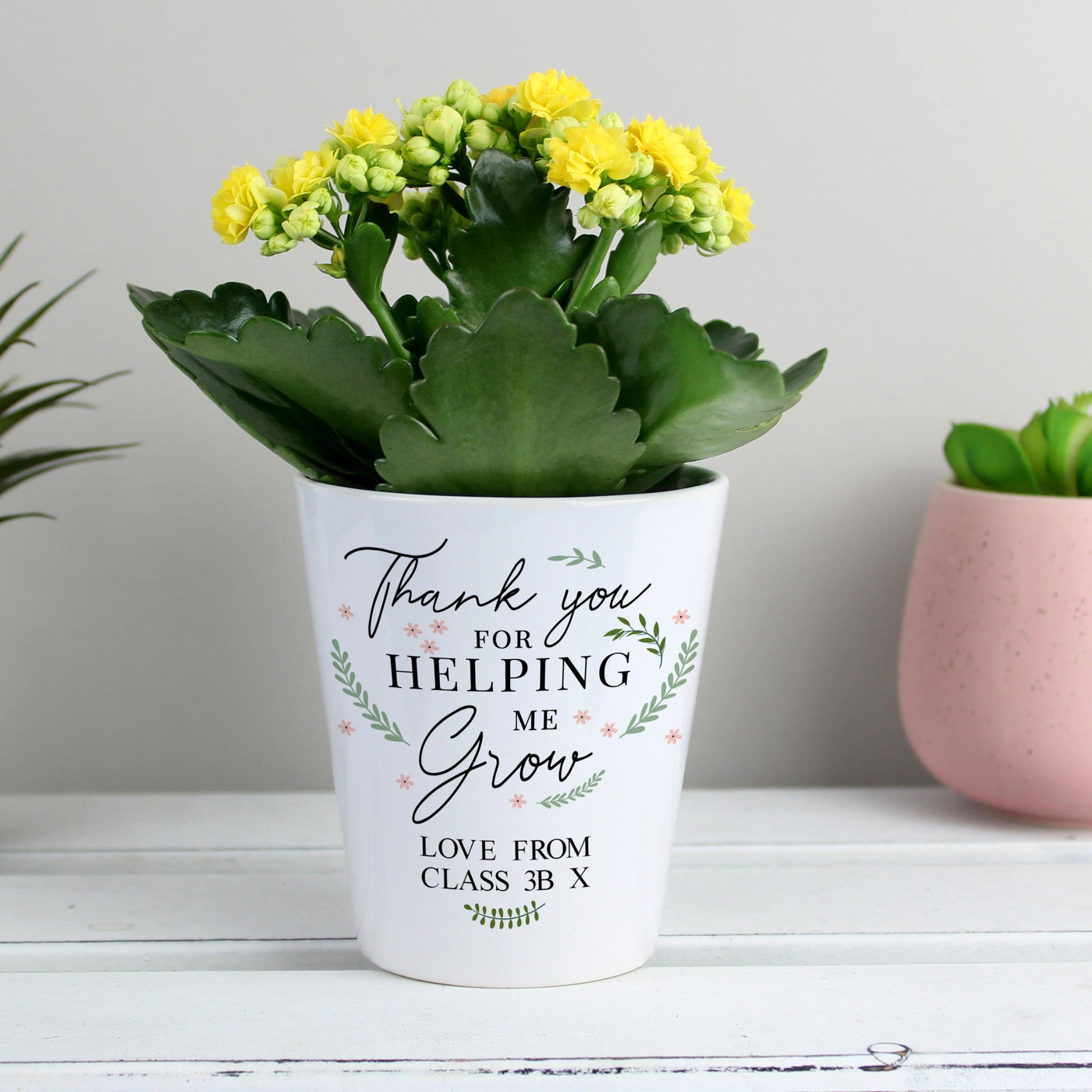 Personalised Thank You For Helping Me Grow Ceramic Plant Pot - Shop Personalised Gifts