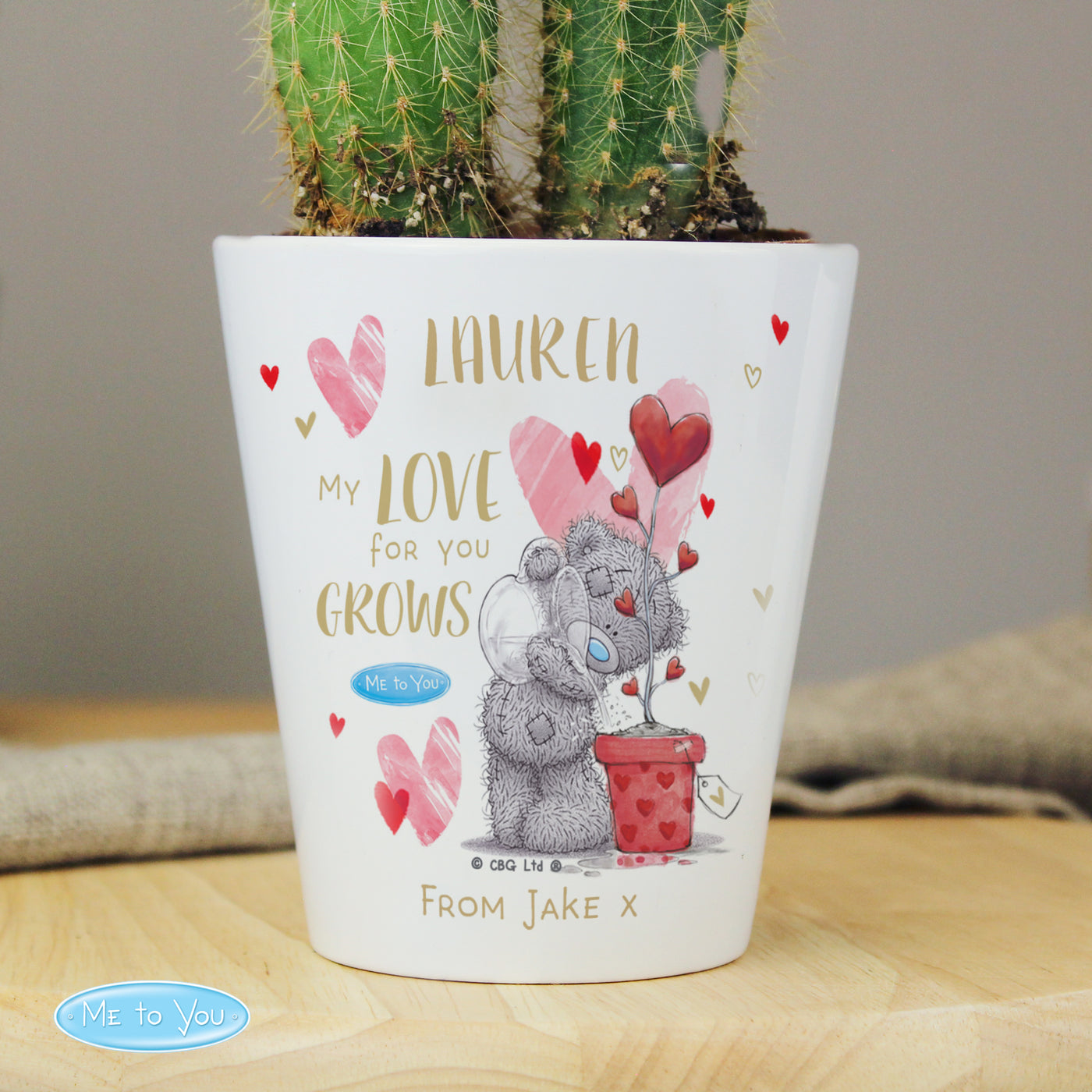 Personalised Me To You Hold You Forever Ceramic Plant Pot