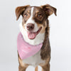 Personalised Princess Dog Bandana - Shop Personalised Gifts