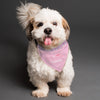 Personalised Princess Dog Bandana - Shop Personalised Gifts