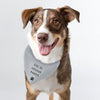 Personalised Dog Bandana - Shop Personalised Gifts