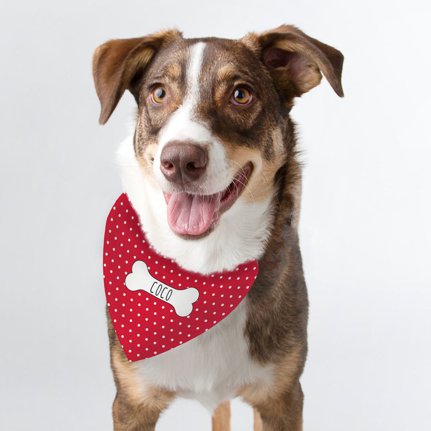 Personalised Red Polka Dot Dog Bandana - Shop Personalised Gifts