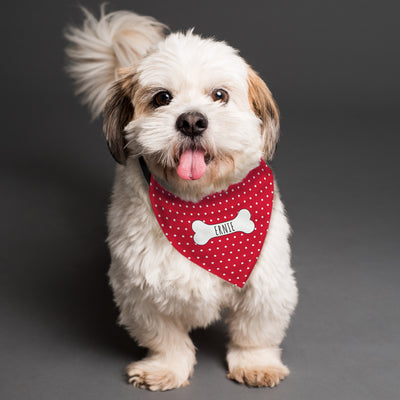Personalised Red Polka Dot Dog Bandana - Shop Personalised Gifts