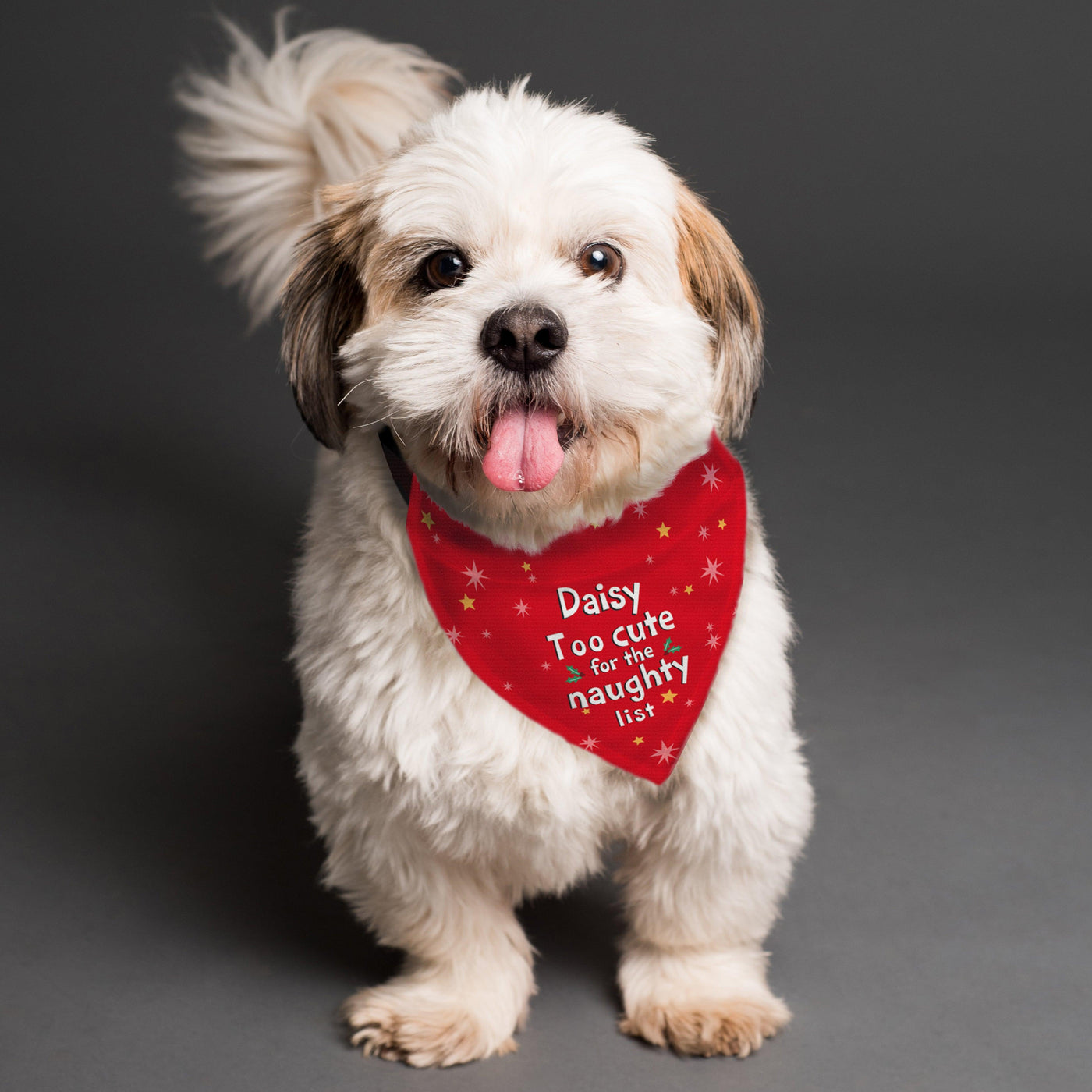 Personalised 'Too cute for the naughty list' Dog Bandana - Shop Personalised Gifts