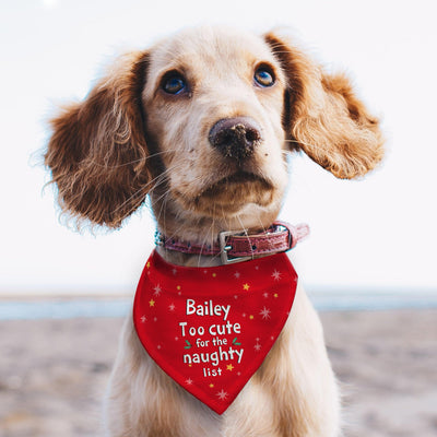 Personalised 'Too cute for the naughty list' Dog Bandana - Shop Personalised Gifts