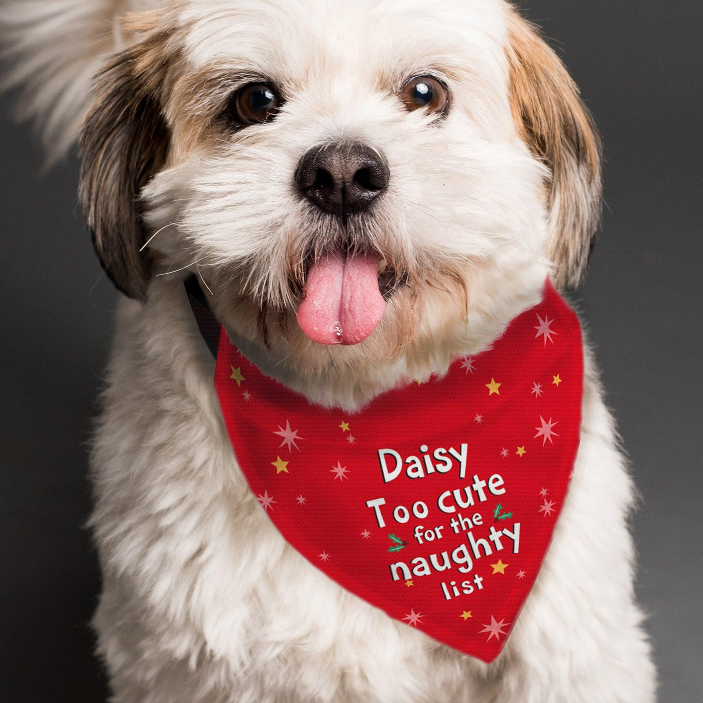 Personalised 'Too cute for the naughty list' Dog Bandana - Shop Personalised Gifts