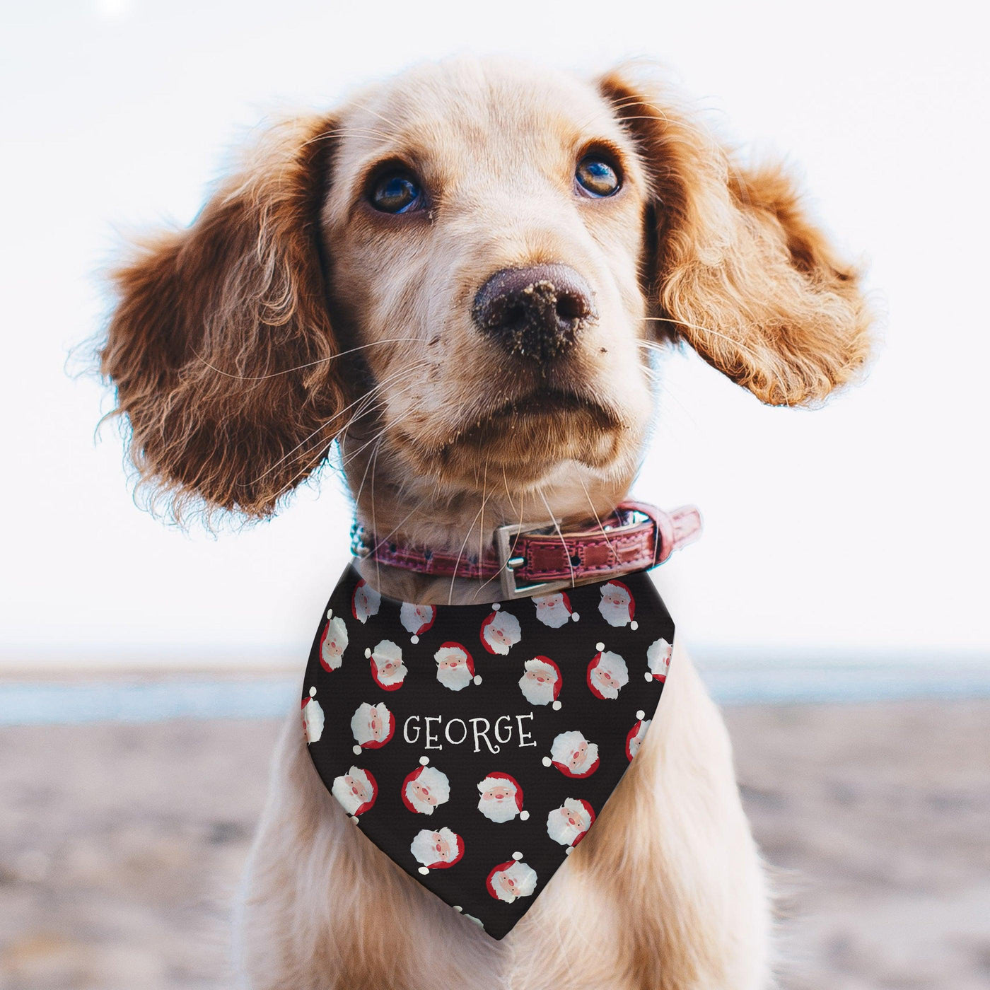 Personalised Santa Black Dog Bandana - Shop Personalised Gifts