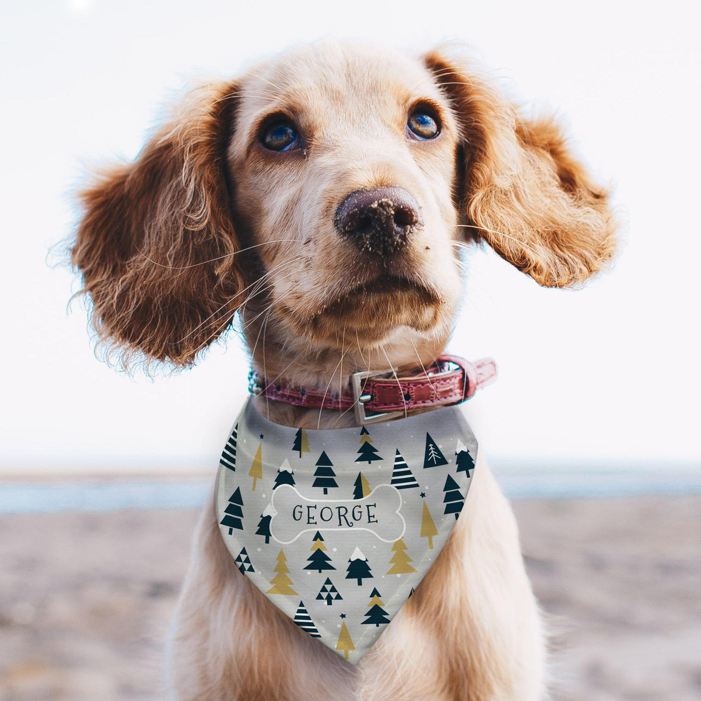 Personalised Christmas Tree Dog Bandana - Shop Personalised Gifts