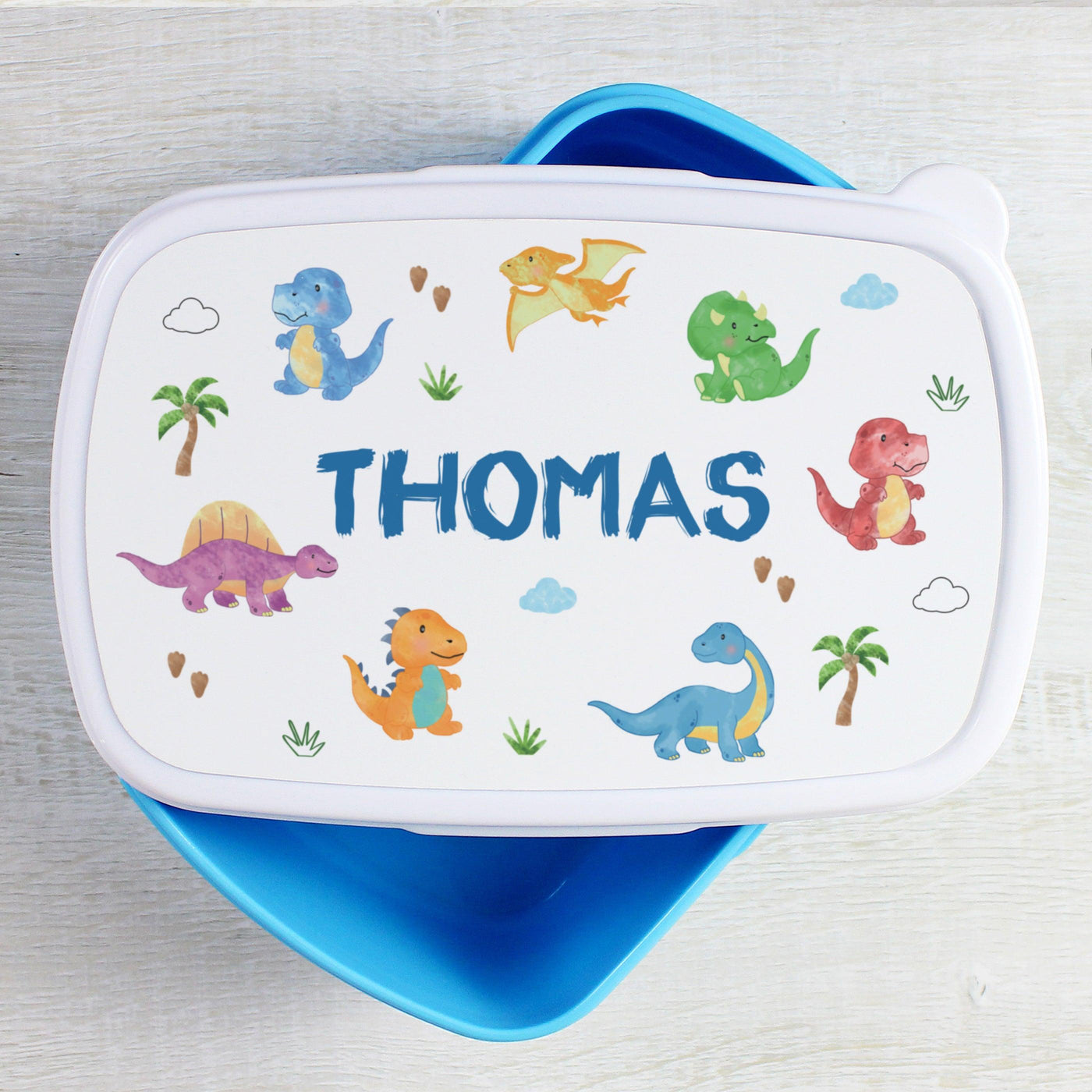 Personalised Dinosaur Name Only Blue Lunch Box - Shop Personalised Gifts