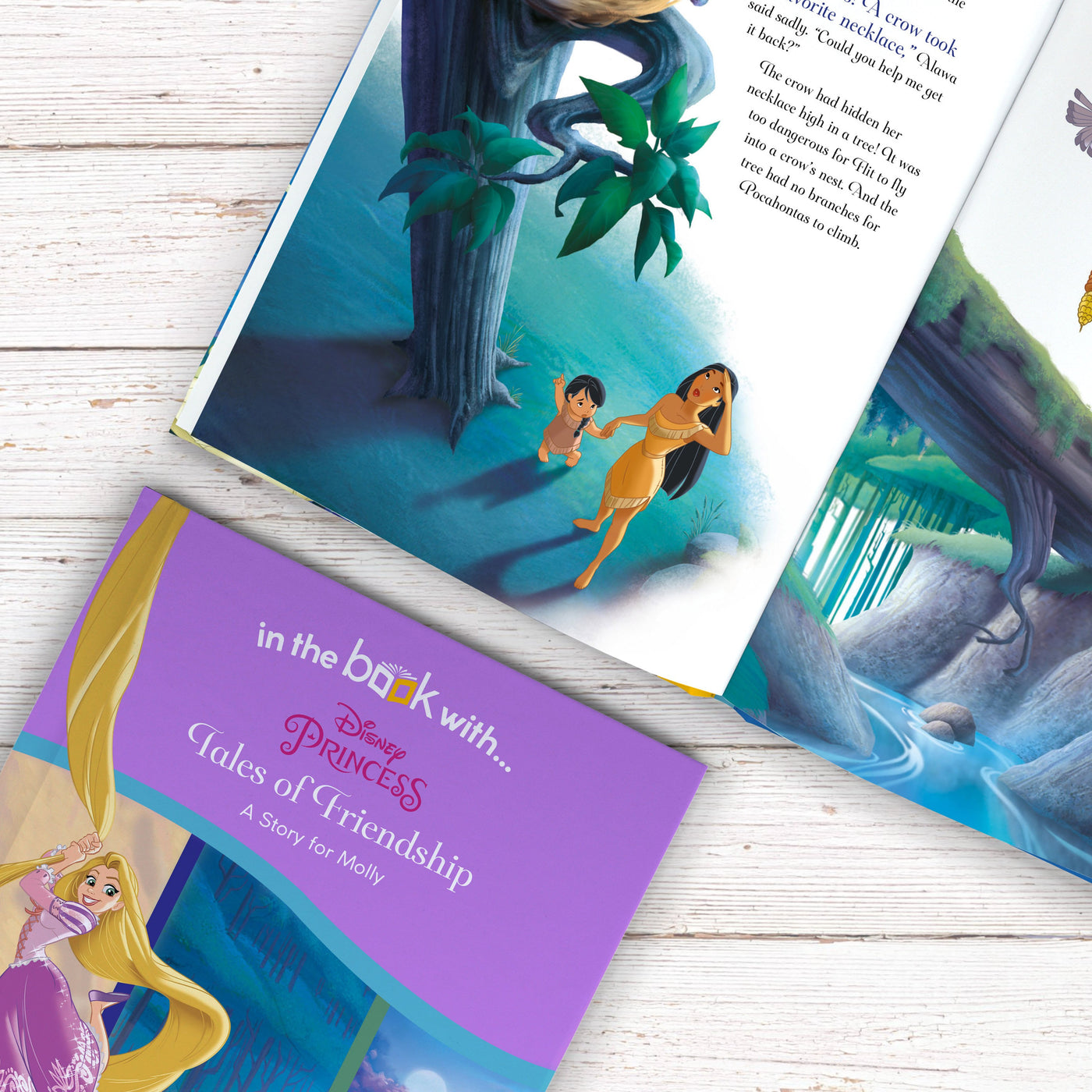 Personalised Disney Princess Tales of Friendship - Shop Personalised Gifts