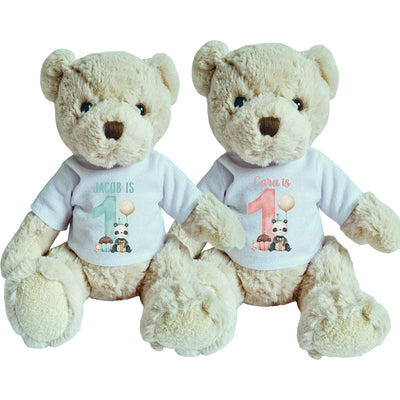 Teddy Bear with Personalised Girls / Boys First Birthday Shirt