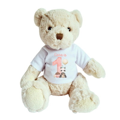 Teddy Bear with Personalised Girls / Boys First Birthday Shirt