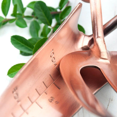Personalised Luxe Copper Trowel & Fork Set - Shop Personalised Gifts
